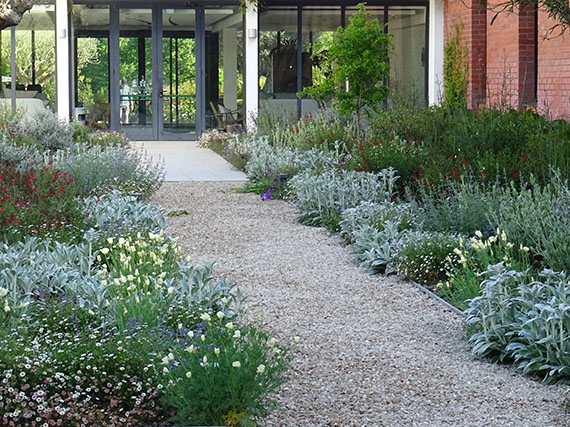 Más biodiversidad en el jardín: una urgencia y muchos beneficios (1ª parte)